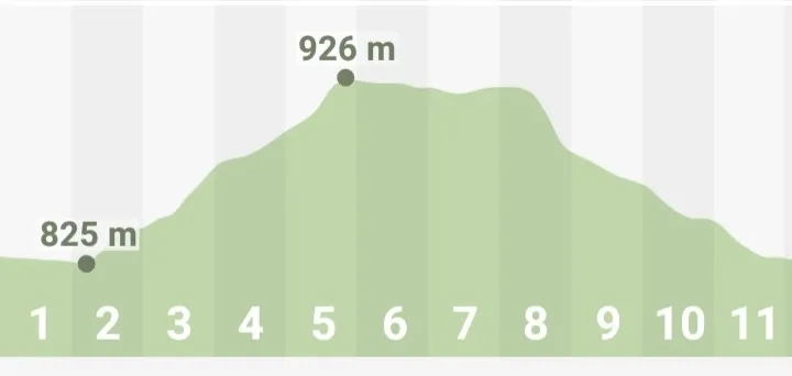 Perfil de la carrera